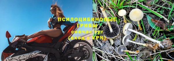 меф Алексин