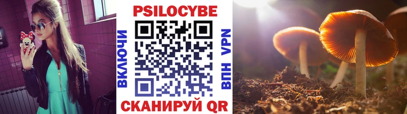 omg ССЫЛКА Пласт Галлюциногенные грибы GOLDEN TEACHER продажа наркотиков